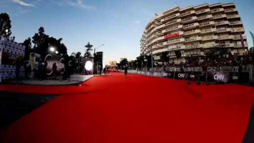 Gala de Viña, Redes sociales 