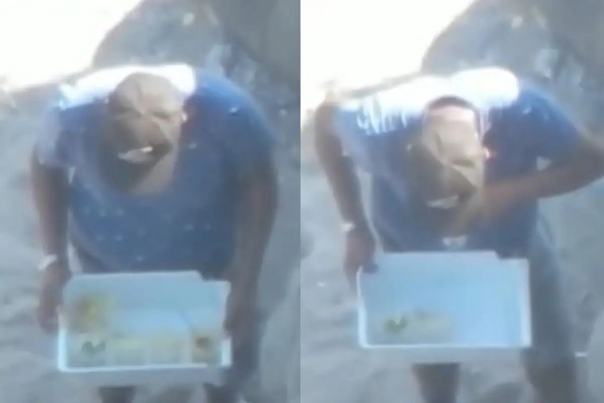 El vendedor de mojitos en acción, Captura