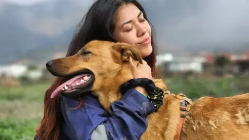 En la corporación Mirada Animal Chile existen más de 150 perritos esperando una familia, Cedida