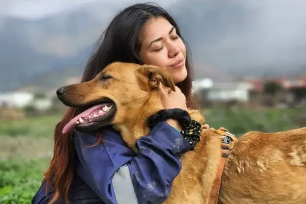 En la corporación Mirada Animal Chile existen más de 150 perritos esperando una familia ,Cedida