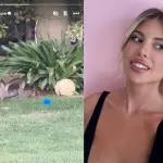 Coté Lopez y su plaga de conejos, Instagram