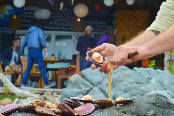 Vuelve Cocinas del Pacífico el gran festival gastronómico del verano chileno ,Cedida