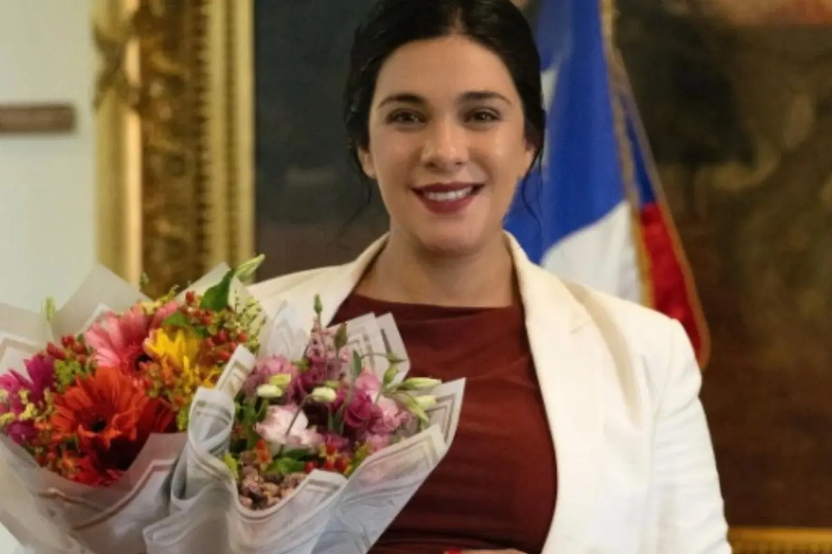 Karol Cariola será madre por primera vez, Instagram