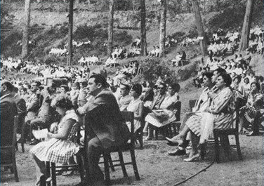 Público del Festival - Municipalidad de Viña del Mar