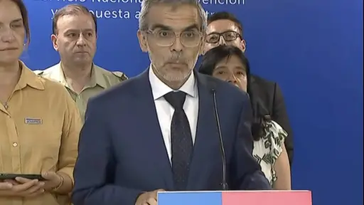 Subsecretario Luis Cordero, Captura de pantalla