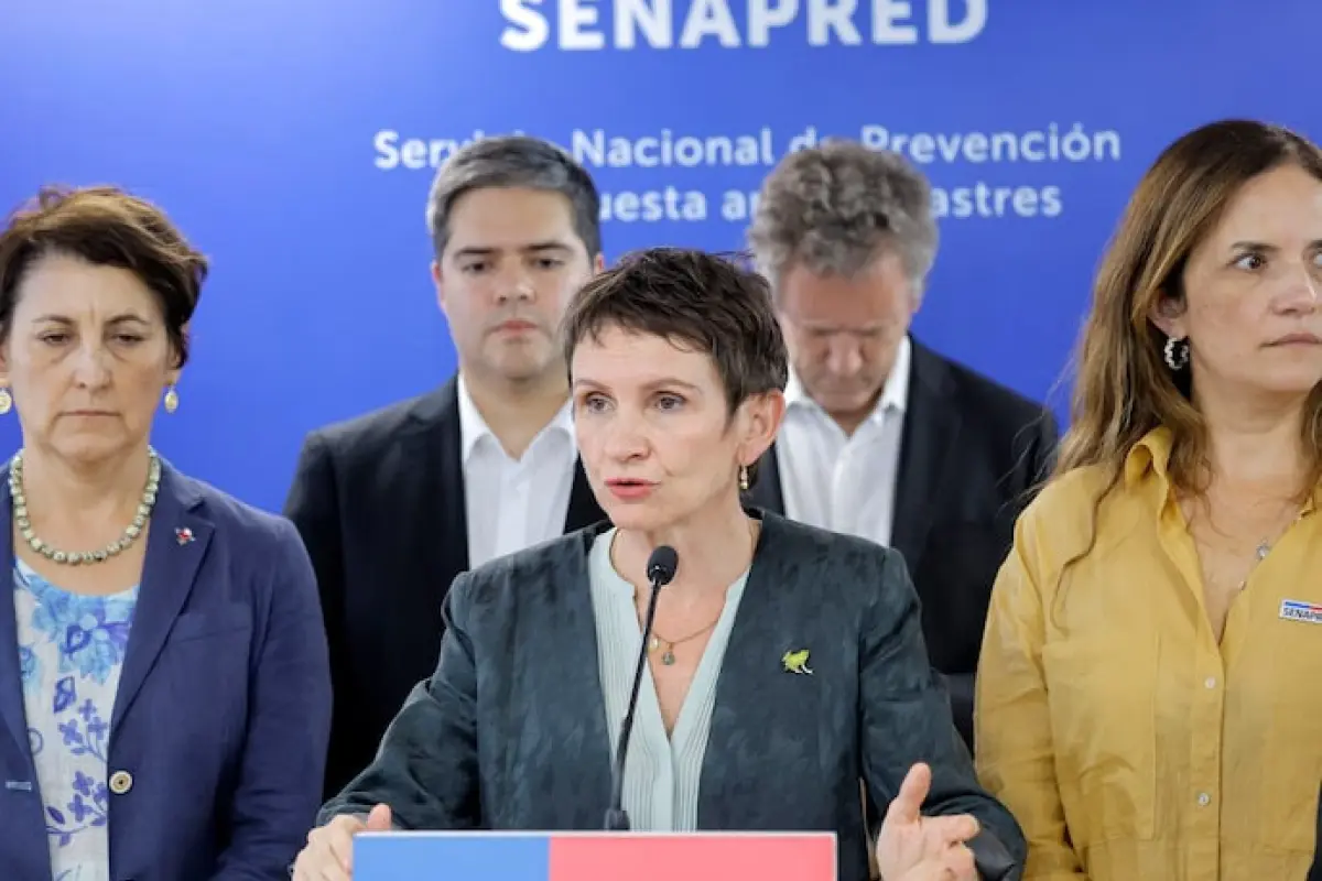 Carolina Tohá, Redes sociales 