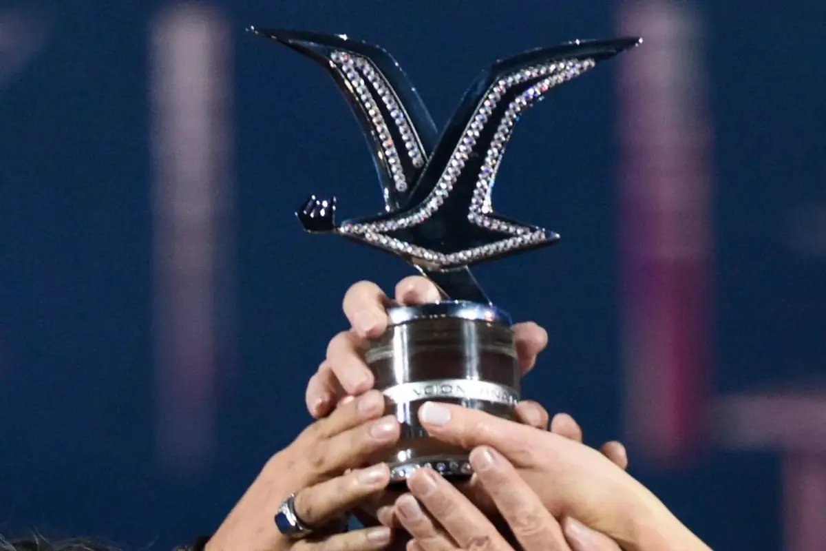 Gaviota de Platino, Redes Sociales