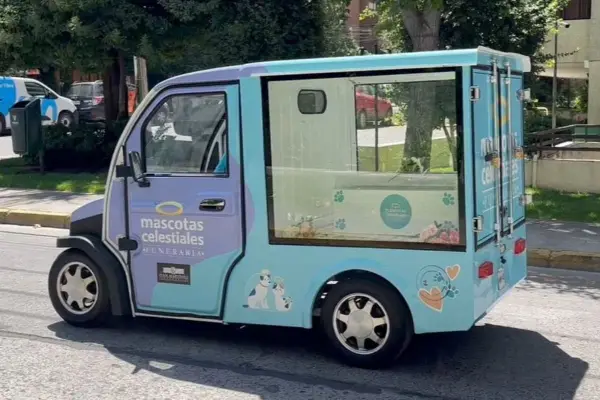 Lindas carrozas para despedir a las mascotas ,Cedida