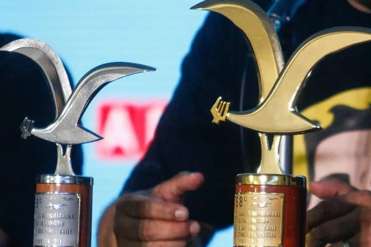 Este es el valor de las gaviotas del Festival de Viña del Mar, Redes sociales | Referencial