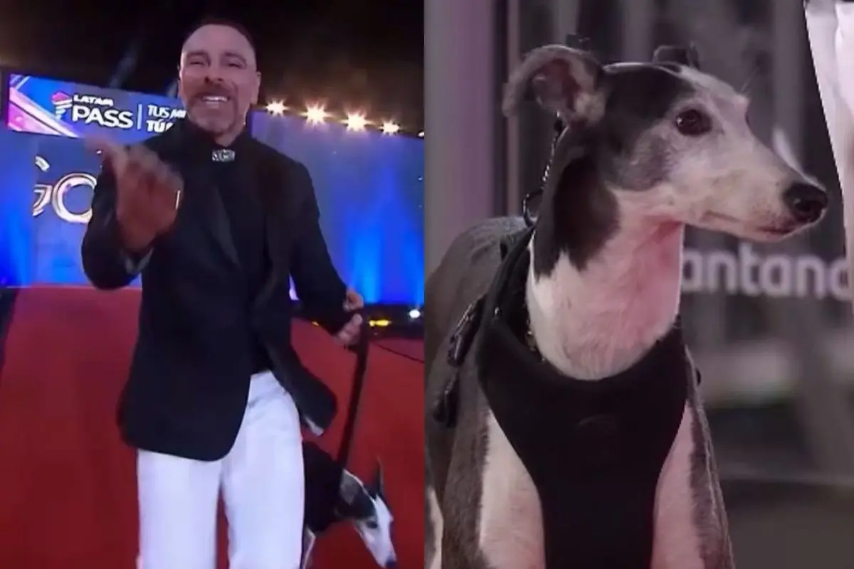 Neme y su perro Ramoncito, Captura