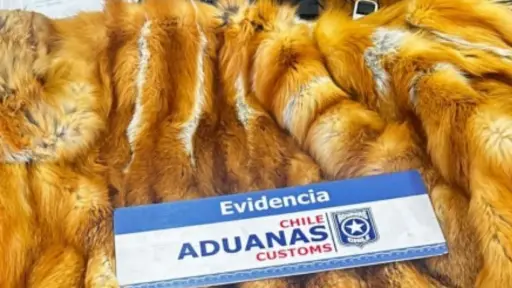 Parte de los objetos incautados, Aduanas