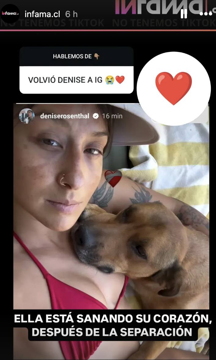 Denise Rosenthal volvió a las redes con su perro, su más fiel compañía actual - Instagram