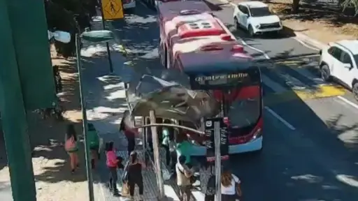 Bus RED se fue encima de los pasajeros, Captura