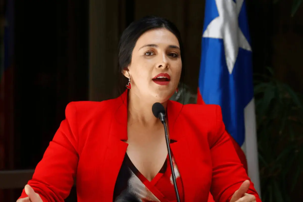 Karol Cariola , Redes sociales