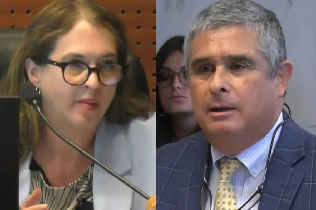 El abogado de Luis Hermosilla, su hermano Juan Pablo, Captura