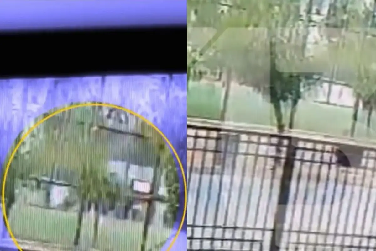 Las imágenes obtenidas por Canal 13, Captura