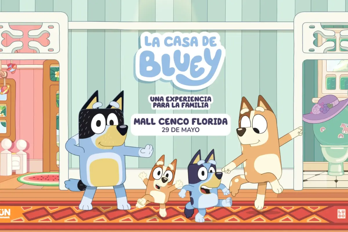 La Casa de Bluey, Cedida