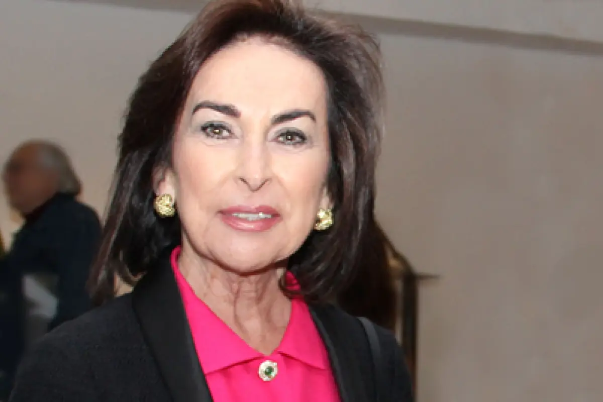 Iris Fontbona, Redes sociales 