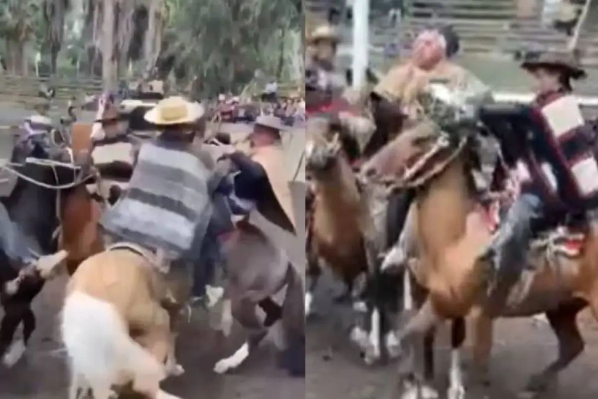 Brutal pelea en rodeo de San Vicente de Tagua Tagua, Captura de redes sociales