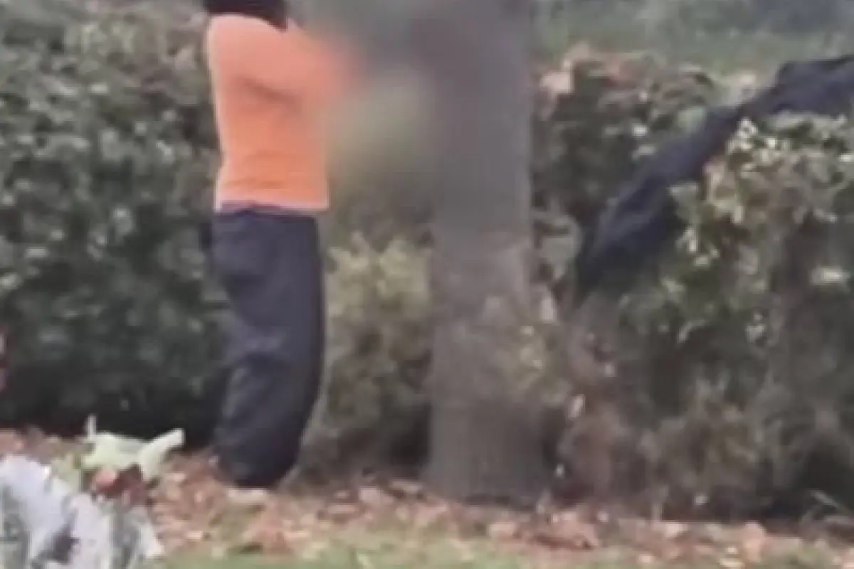 Haitiano faenando a conejo a plena luz del día , Captura de redes sociales