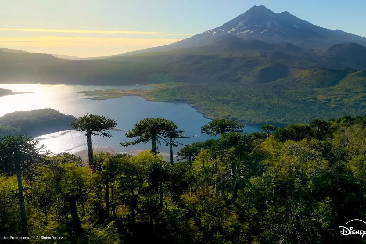 Santiago Wild, Cedida