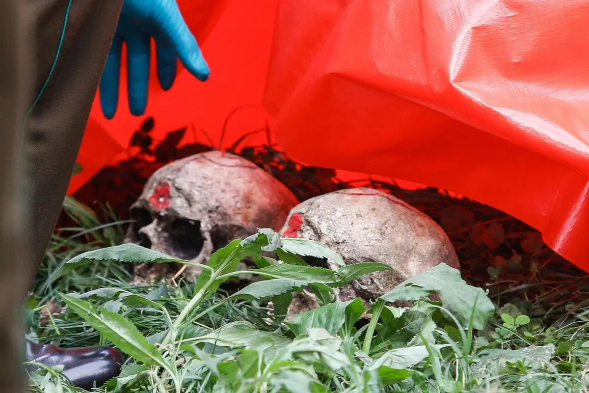 Cráneos de plumavit encendieron las alarmas, Agencia Uno