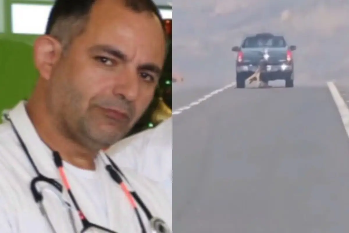 Terrible maltrato animal en plena carretera, Captura