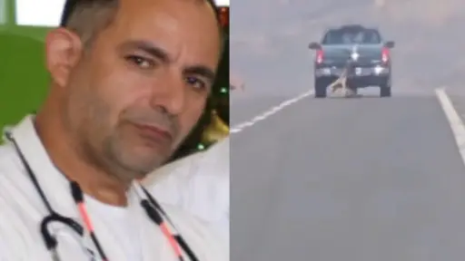 Terrible maltrato animal en plena carretera, Captura