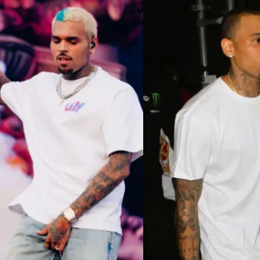 Chris Brown ,Cedido