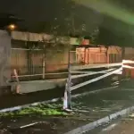 Un dramático hecho se vivió en El Bosque, Captura