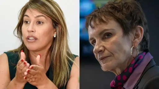 Paz Suárez y Carolina Tohá, Archivo