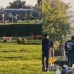 Polémica por asado y fiesta en cementerio de Maipú, Captura de redes sociales