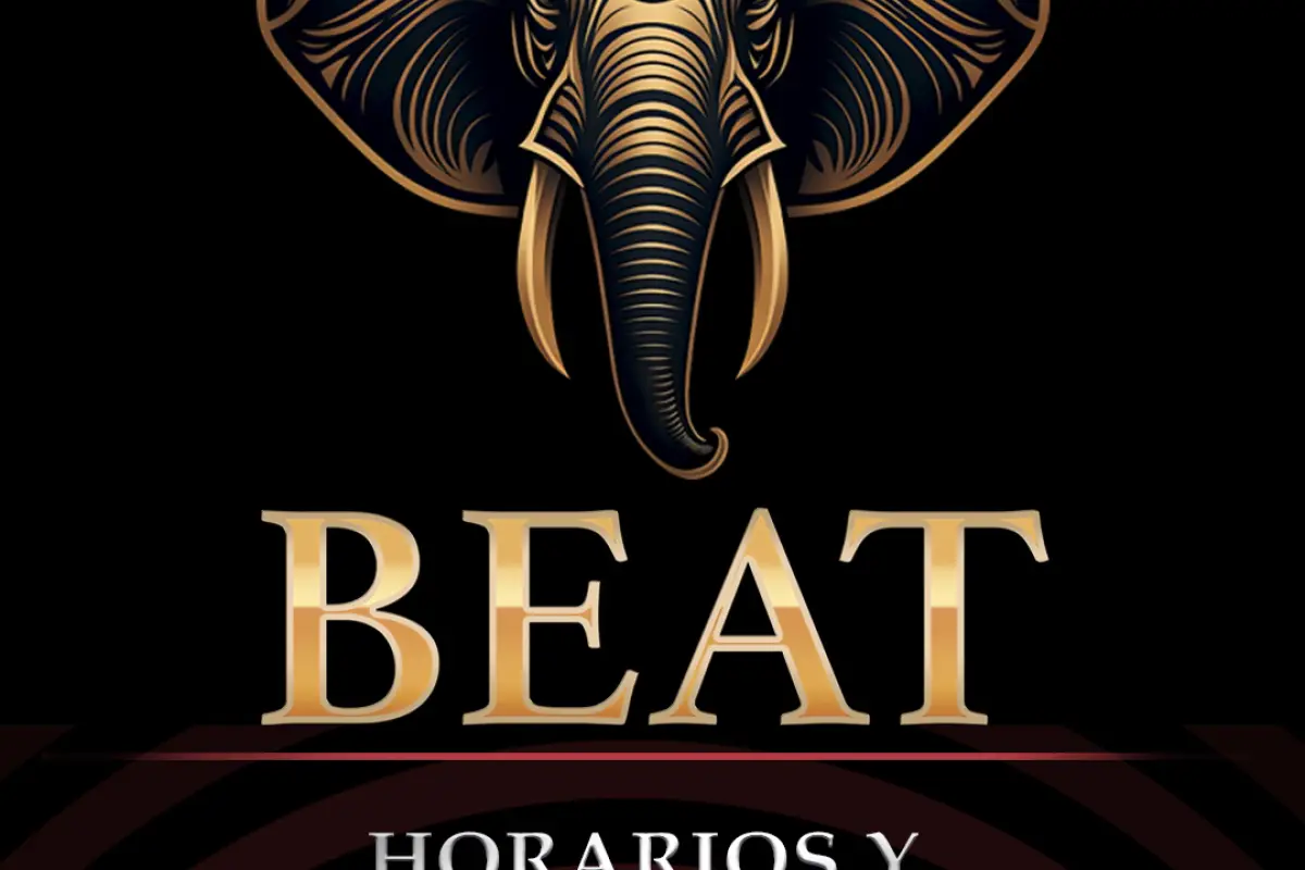 Beat en Chile: horarios, accesos, elementos prohibidos y todo lo que debes saber para disfrutar del show, Cedida