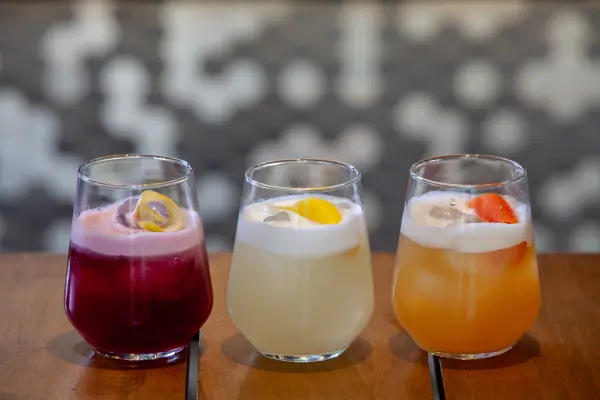 Coctelería de la Fuente Chilena ,Cedida