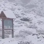 nieve