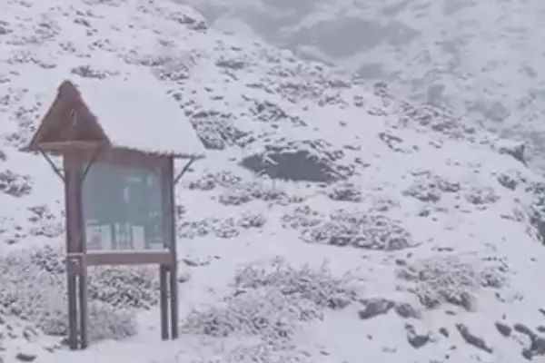 nieve