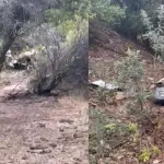 Los restos de la avioneta accidentada, red X