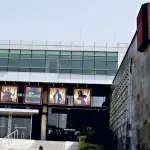 TVN
