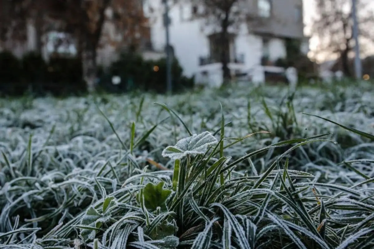 Se pronostican heladas para Santiago, Agencia Uno