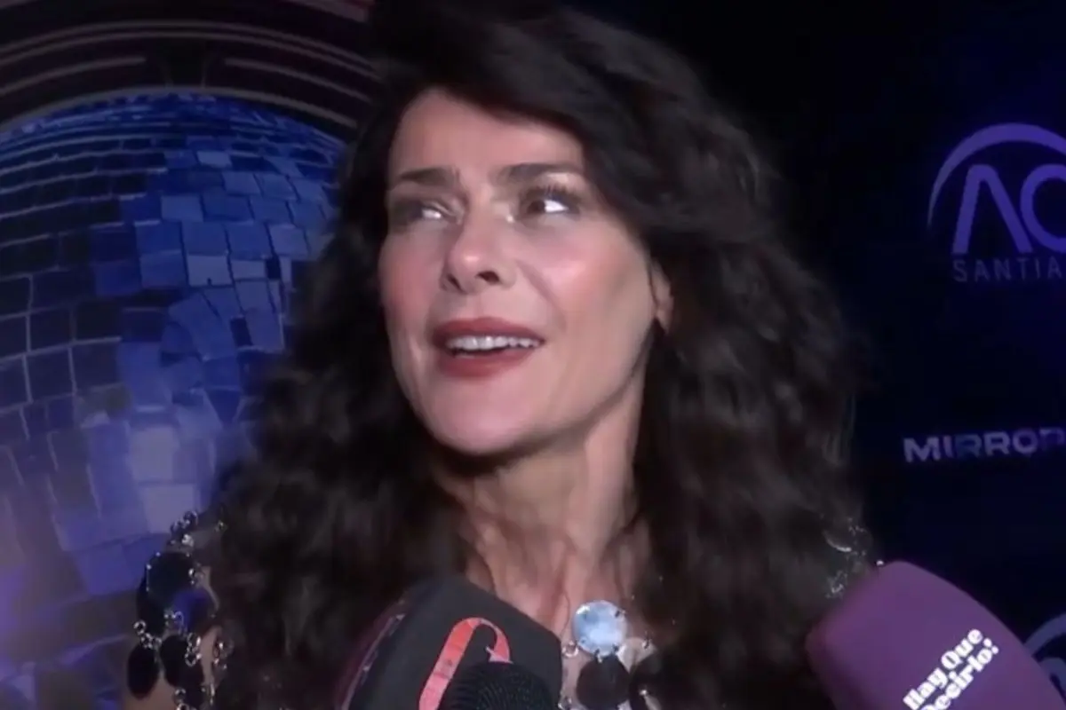 Tonka Tomicic inicio proceso de divorcio, Captura