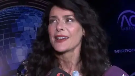 Tonka Tomicic inicio proceso de divorcio, Captura