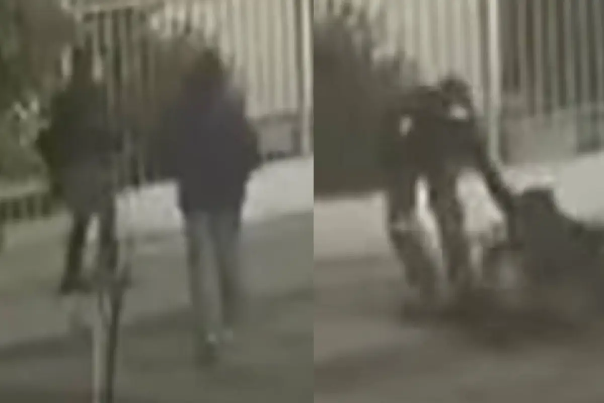 Niña víctima de robo, Captura