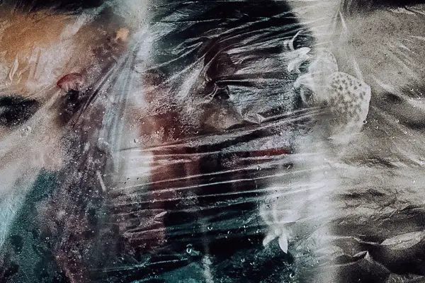 Animals as Leaders regresa a Chile para celebrar la primera década del Album The Joy of Motion ,Cedida