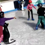 Vacaciones de invierno