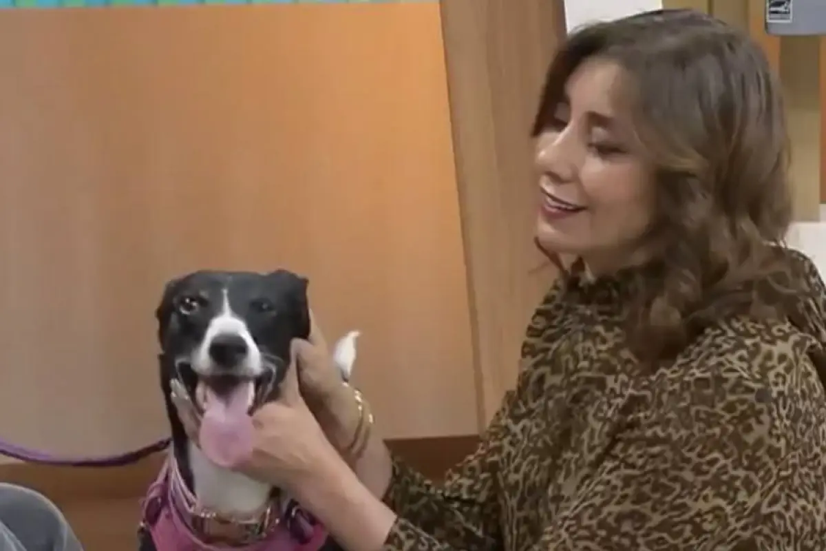 Carmen Gloria a tu servicio