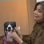 Carmen Gloria a tu servicio