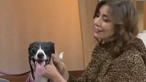 Carmen Gloria a tu servicio