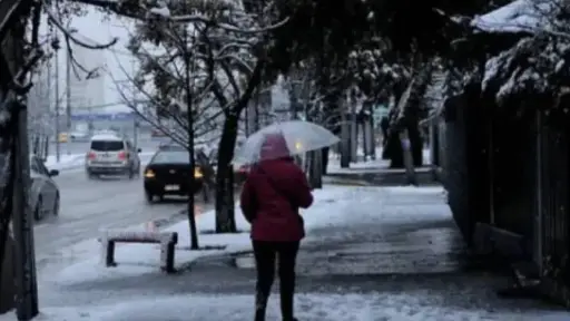nieve