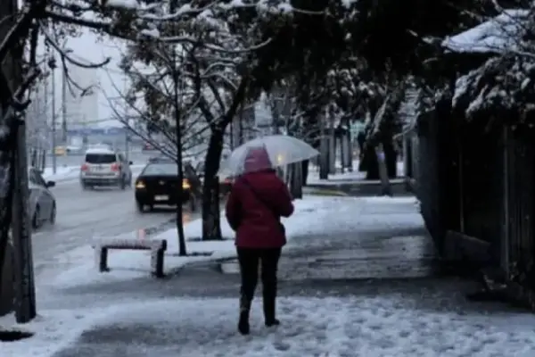 nieve