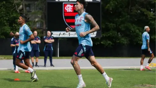 Erick Pulgar, Cedido